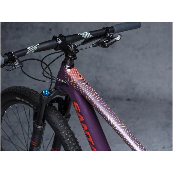DYEDBRO Frame Protection Stay Free T. Color