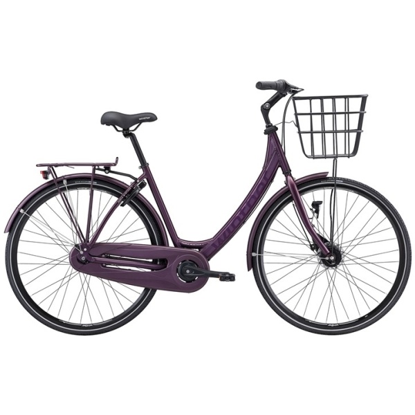 Purple Winther 4 - 50cm - Lilla
