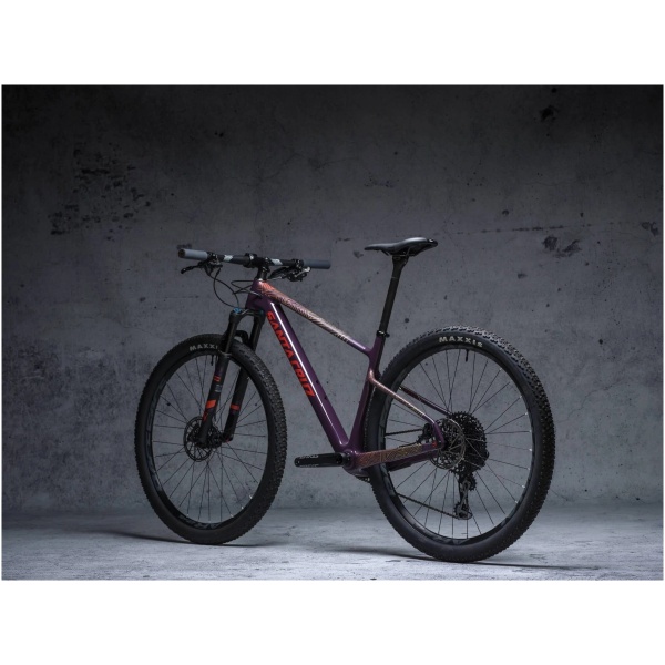 DYEDBRO Frame Protection Stay Free T. Color - Image 2