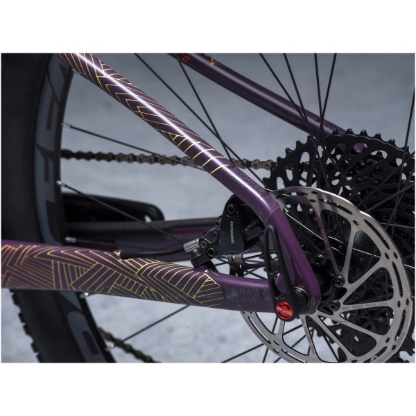DYEDBRO Frame Protection Stay Free T. Color - Image 4